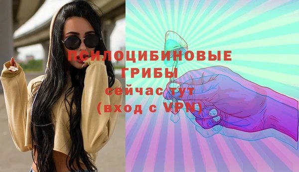 амф Абинск