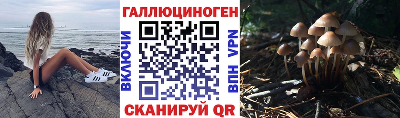 Галлюциногенные грибы мицелий  Новочебоксарск 